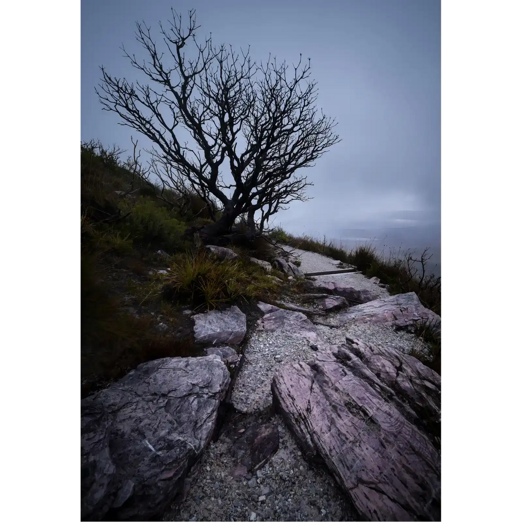 Gloom - South West National Park by Ben Wilkinson