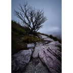Gloom - South West National Park by Ben Wilkinson