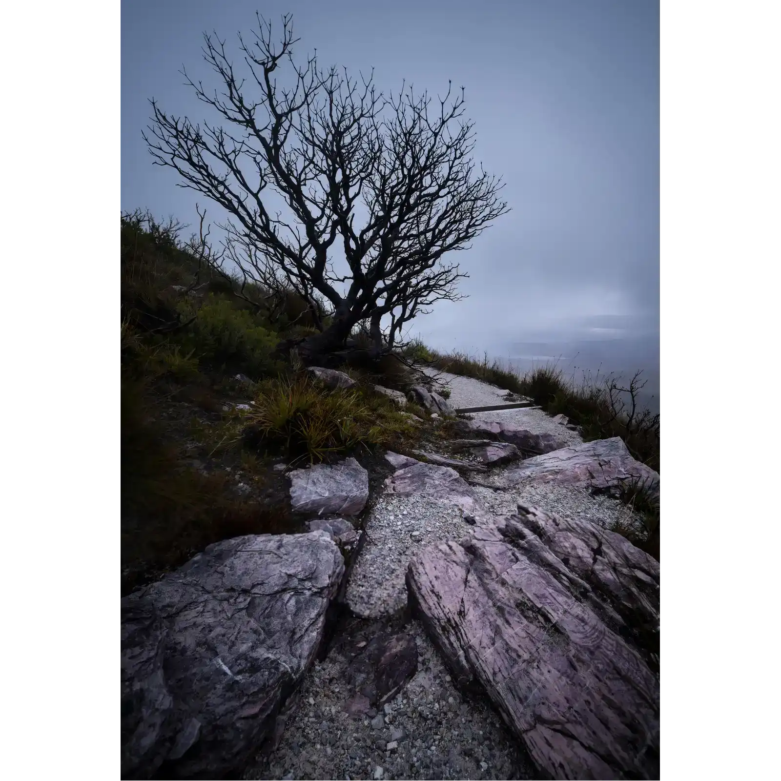 Gloom - South West National Park by Ben Wilkinson