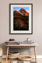Majestic Mt Anne - Southwest National Park by Ben Wilkinson