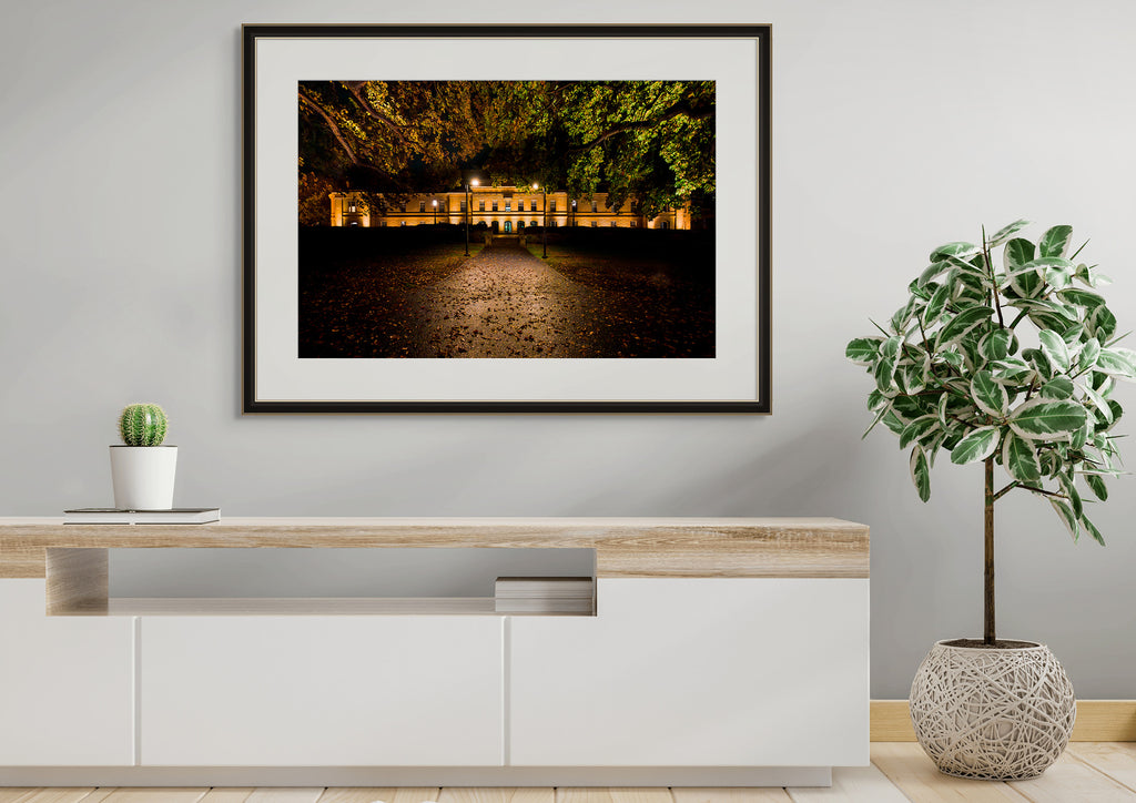 Parliament House by Night - Spring 2024 by Ben Wilkinson