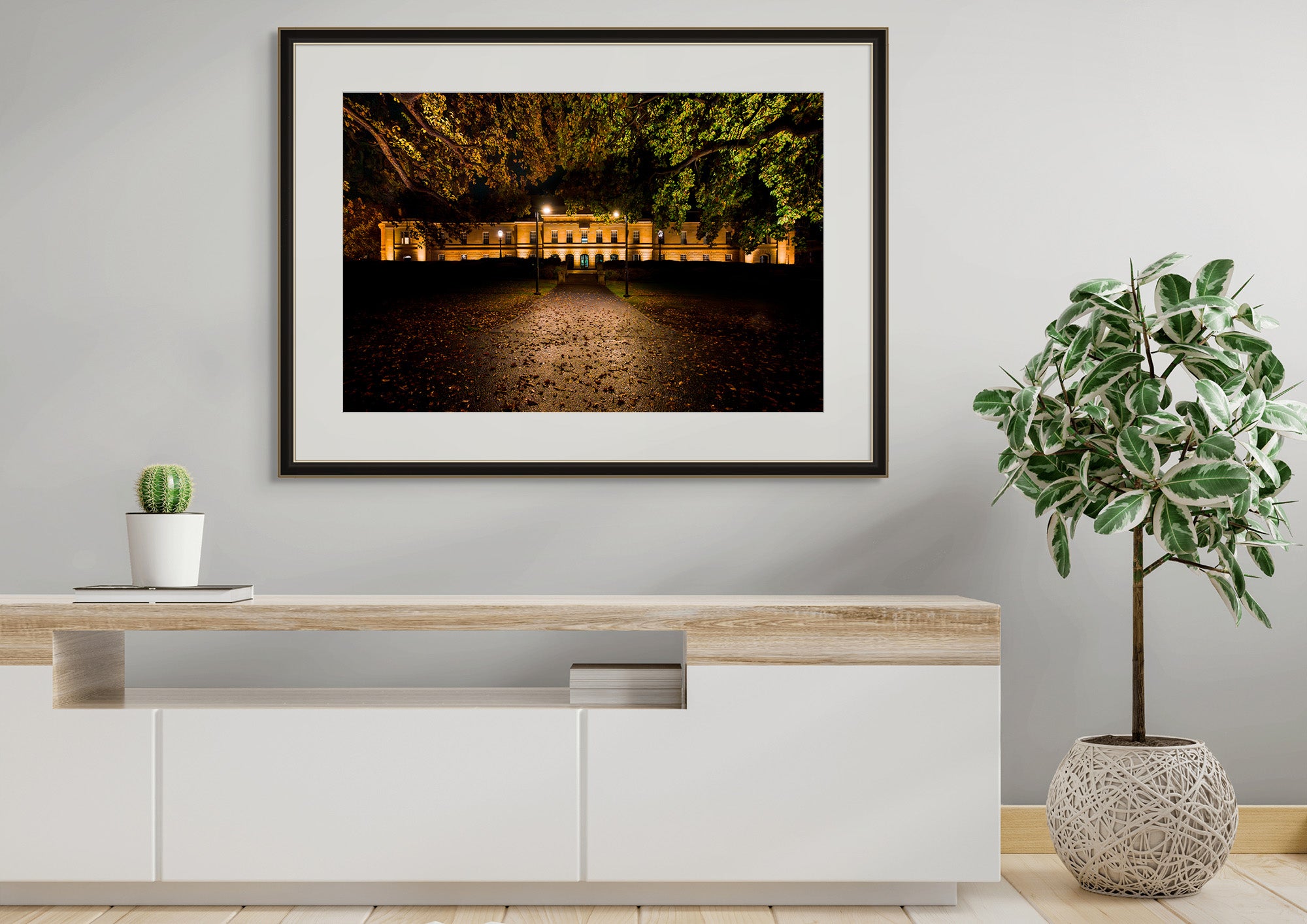 Parliament House by Night - Spring 2024 by Ben Wilkinson
