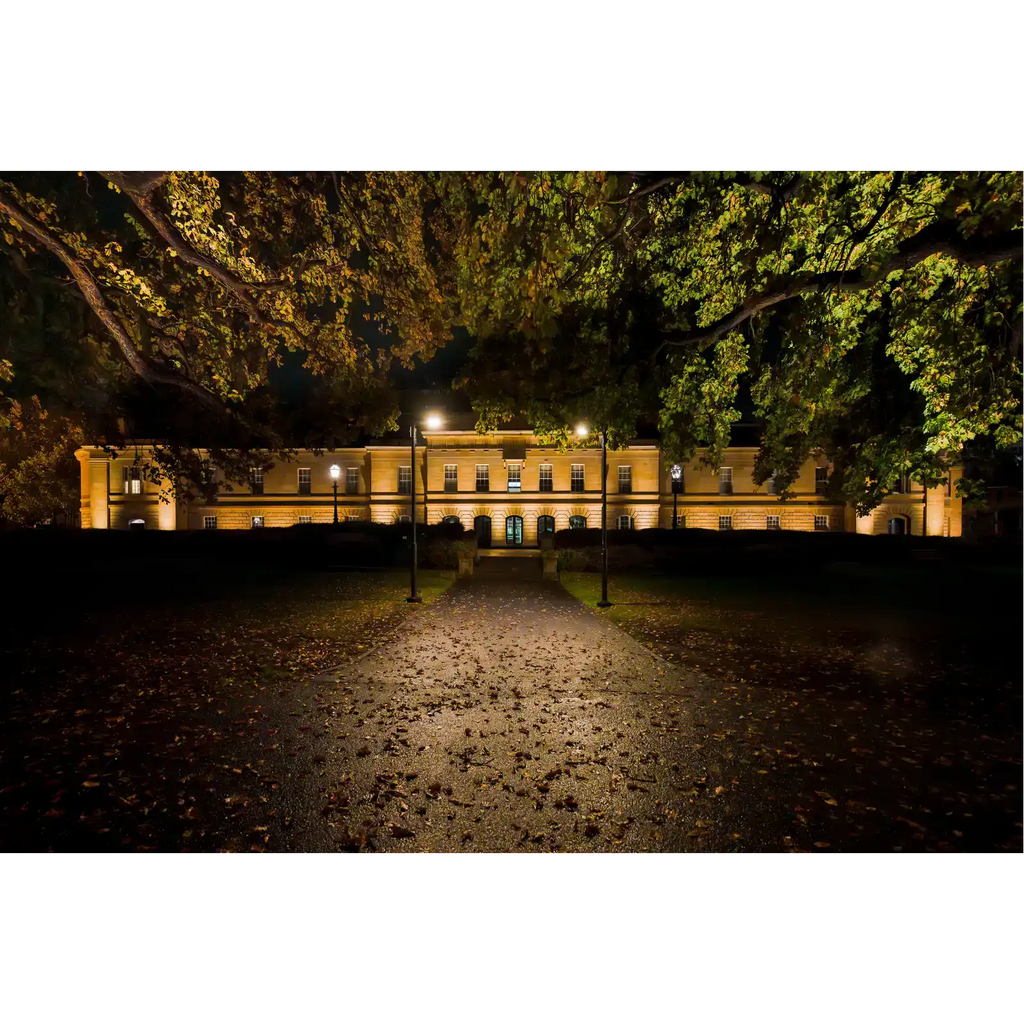 Parliament House by Night - Spring 2024 by Ben Wilkinson