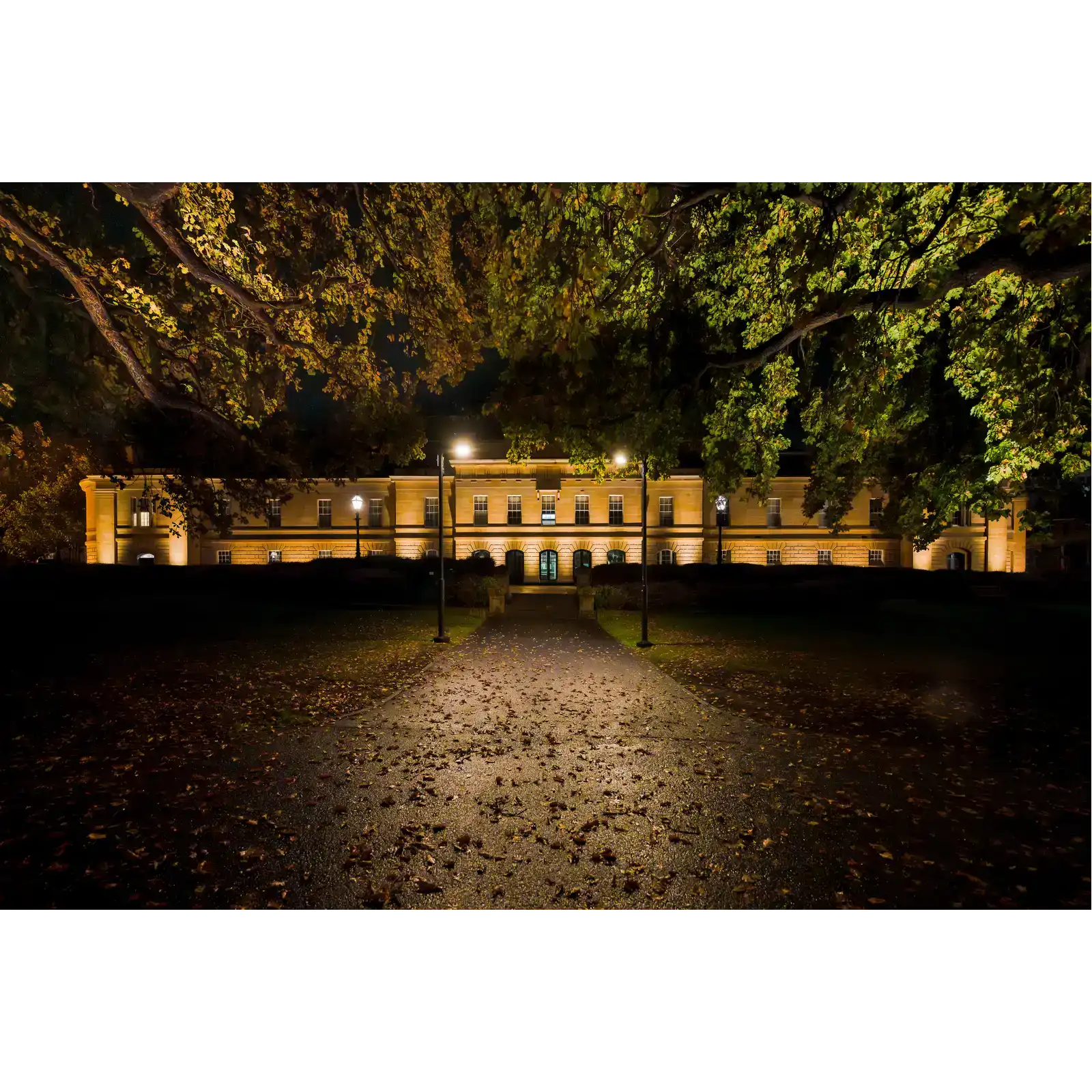 Parliament House by Night - Spring 2024 by Ben Wilkinson