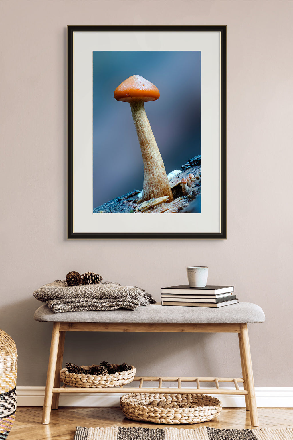 Single Mushroom  by Ben Wilkinson