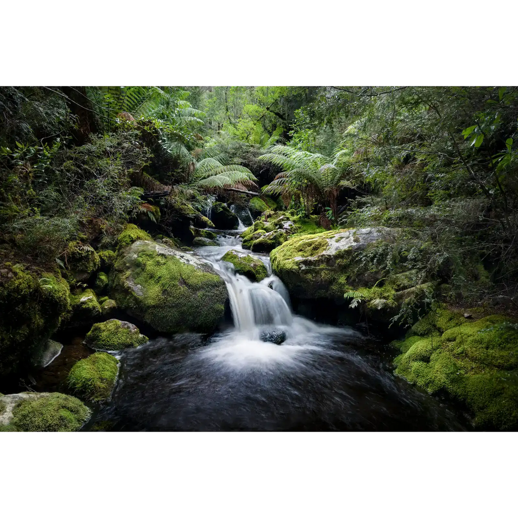 Cascade - South West National Park by Ben Wilkinson