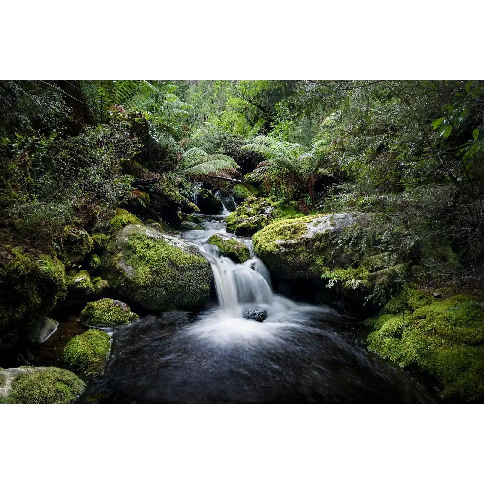 Cascade - South West National Park by Ben Wilkinson