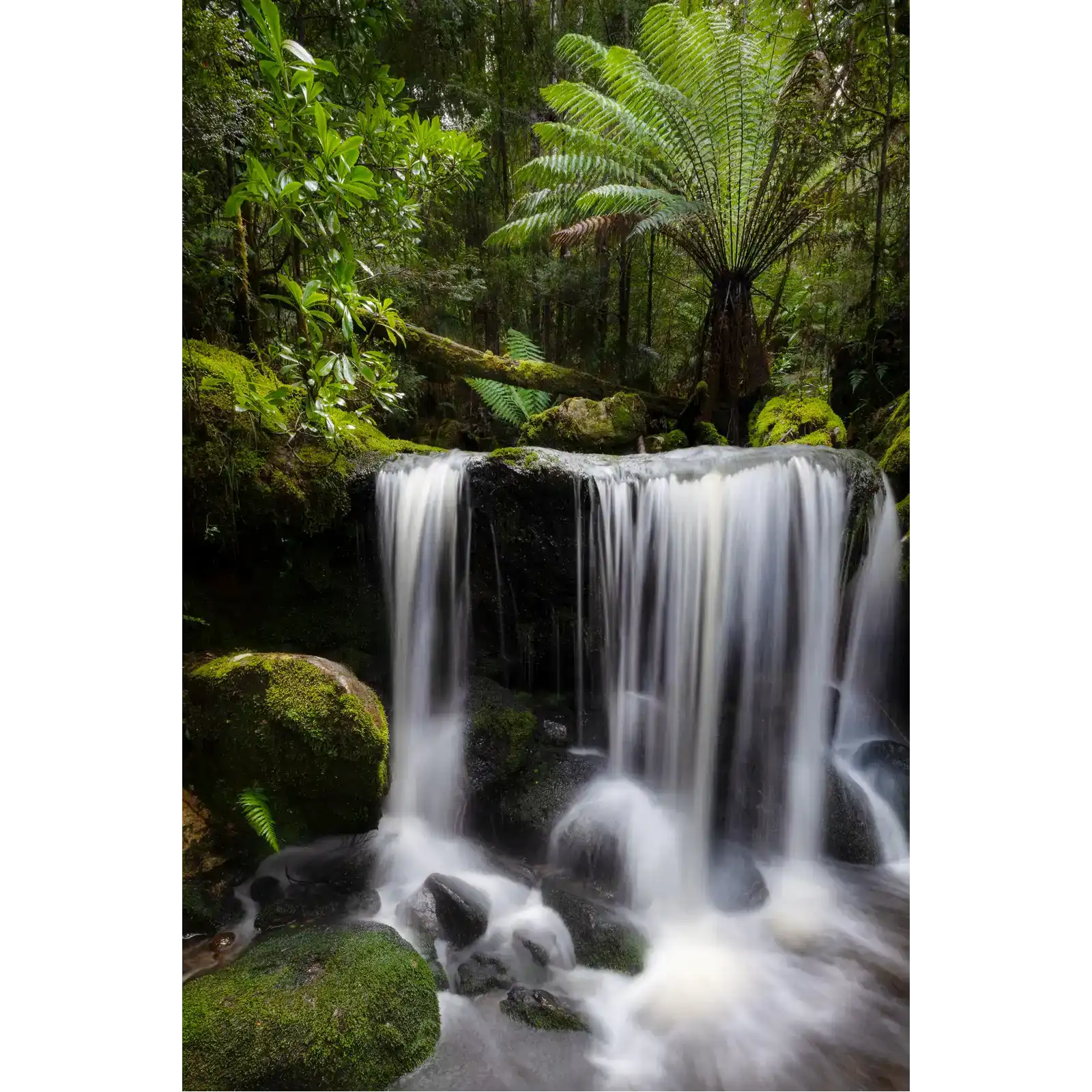 Wild Waterfalls - South West National Park by Ben Wilkinson