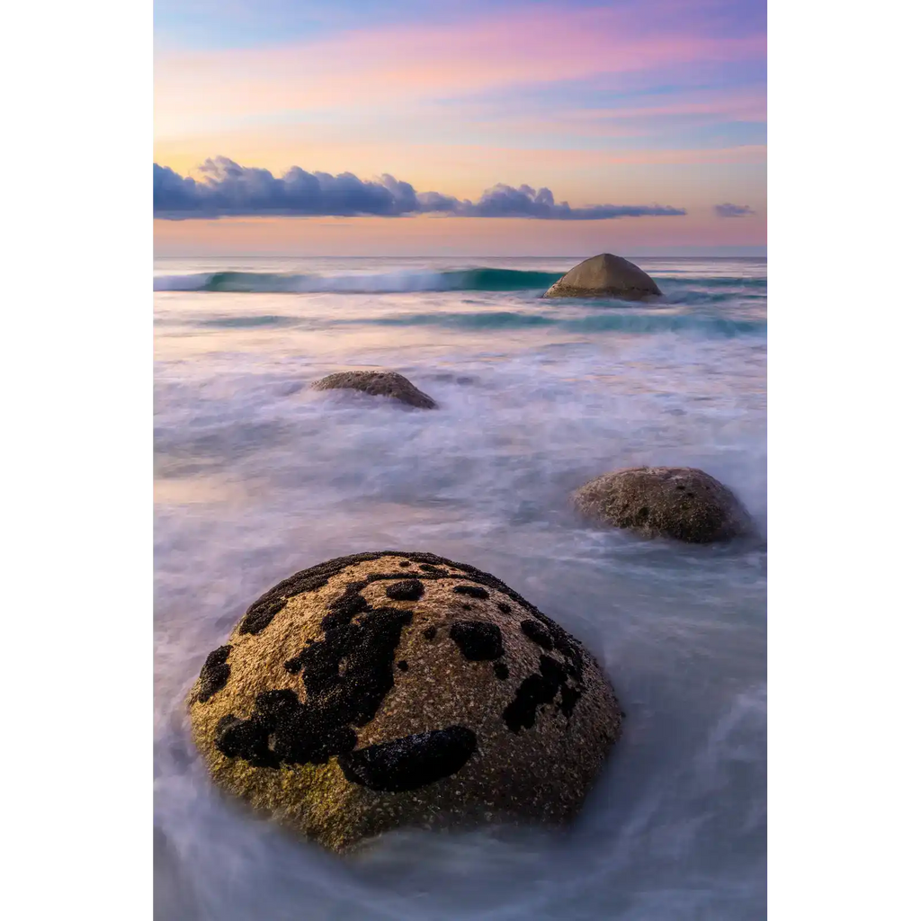 March Of The Turtles - Bay Of Fires National Park by Ben Wilkinson