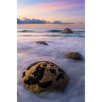 March Of The Turtles - Bay Of Fires National Park by Ben Wilkinson