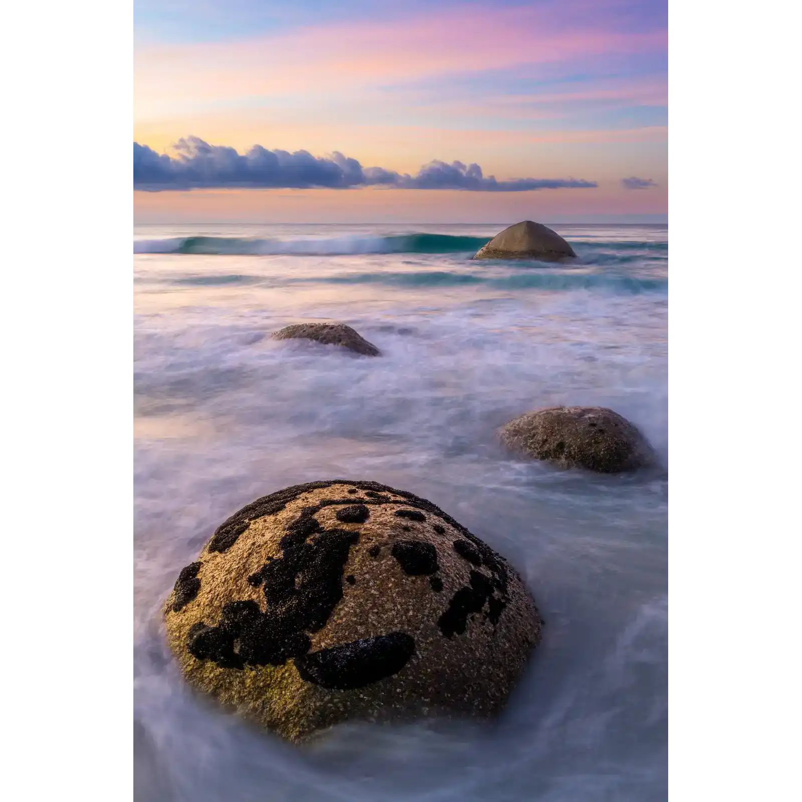 March Of The Turtles - Bay Of Fires National Park by Ben Wilkinson