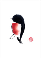 Robin By Susie Collis