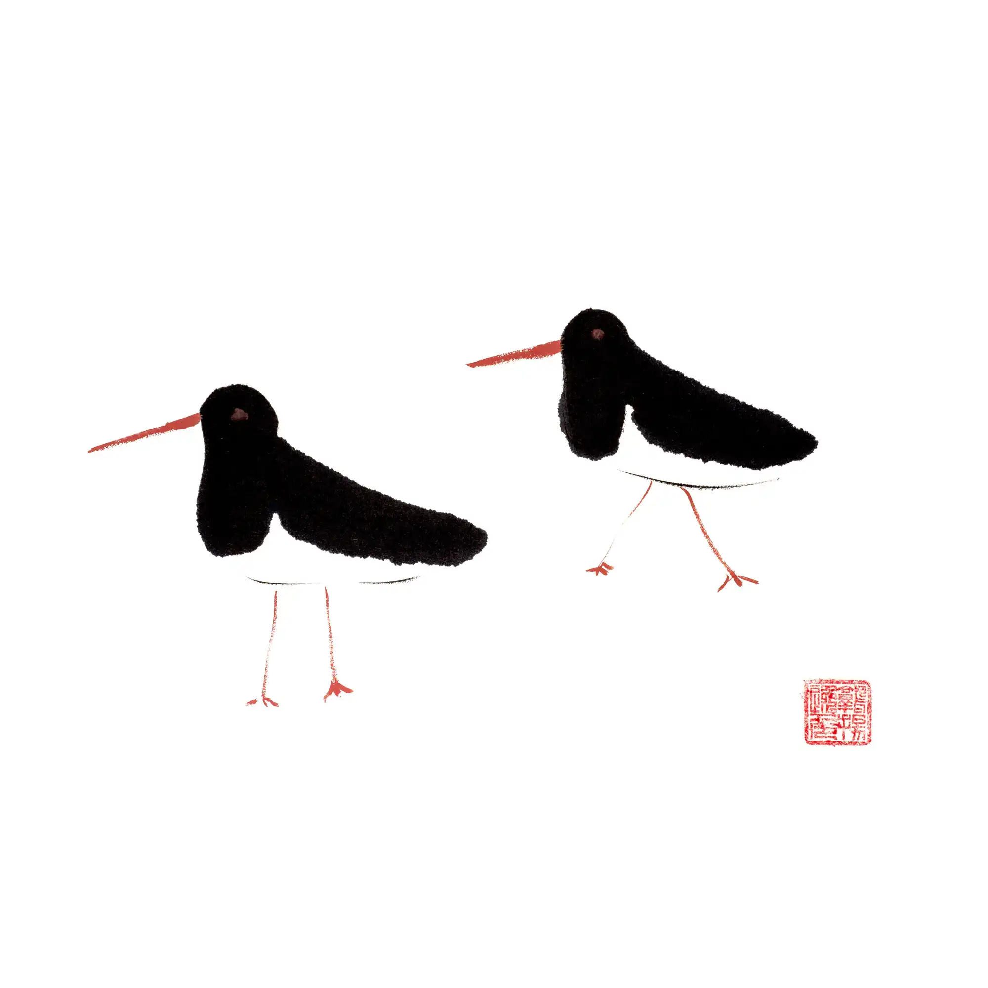 Oyster Catcher By Susie Collis
