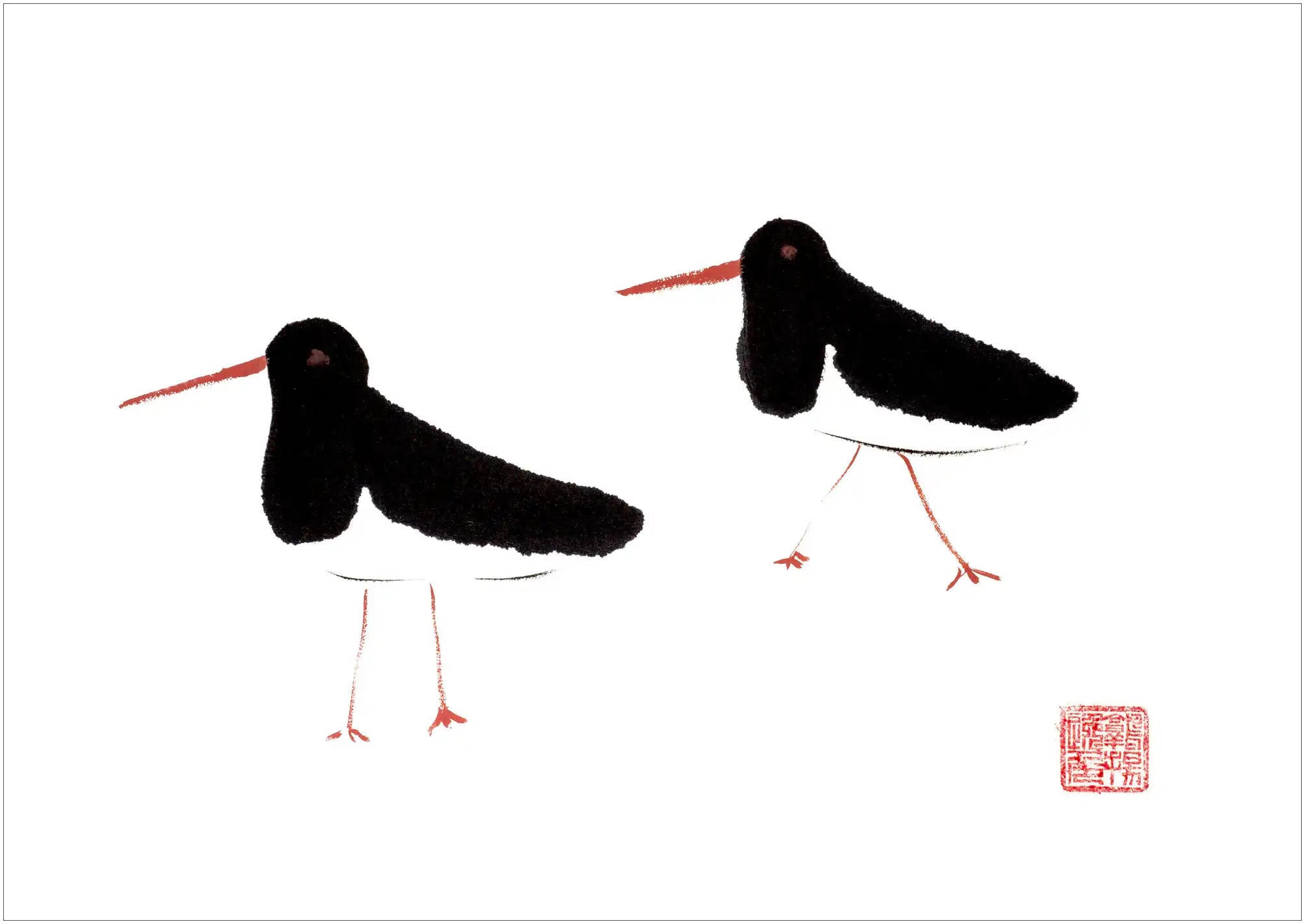 Oyster Catcher By Susie Collis