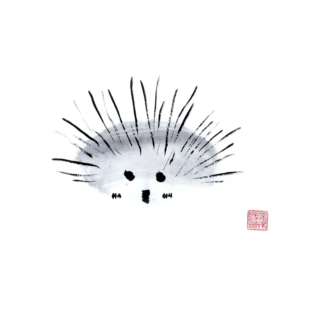 Echidna By Susie Collis