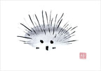 Echidna By Susie Collis