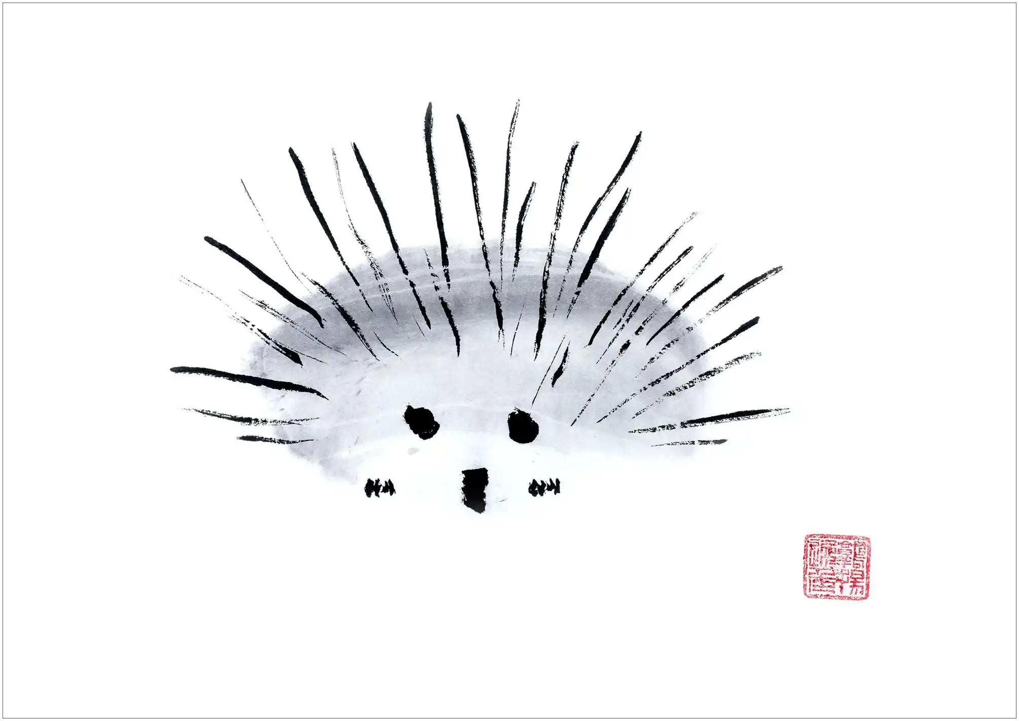 Echidna By Susie Collis