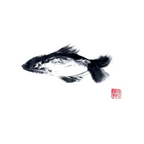 Just a Fish By Susie Collis