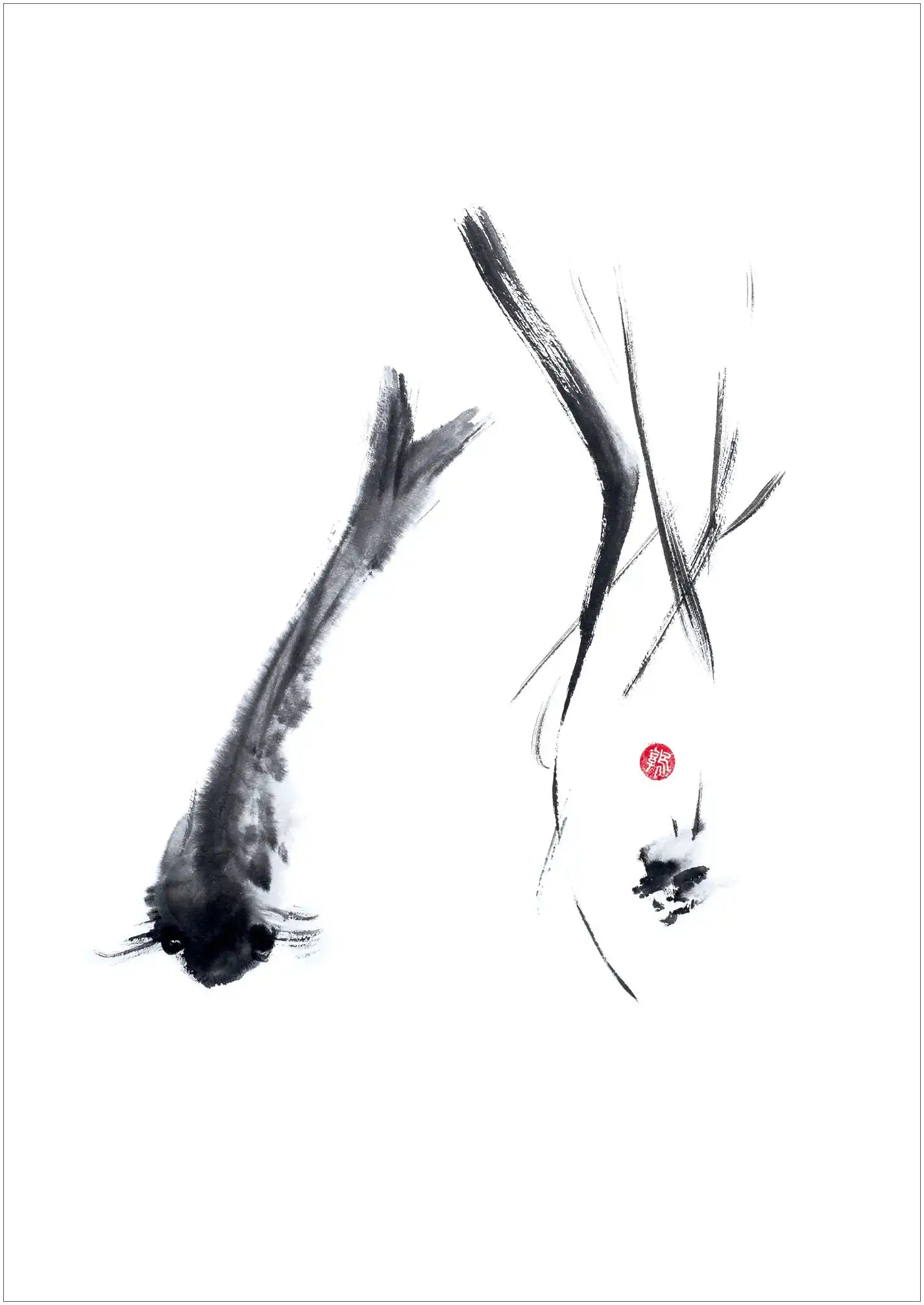 Fish By Susie Collis