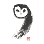 Owl By Susie Collis