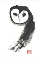 Owl By Susie Collis