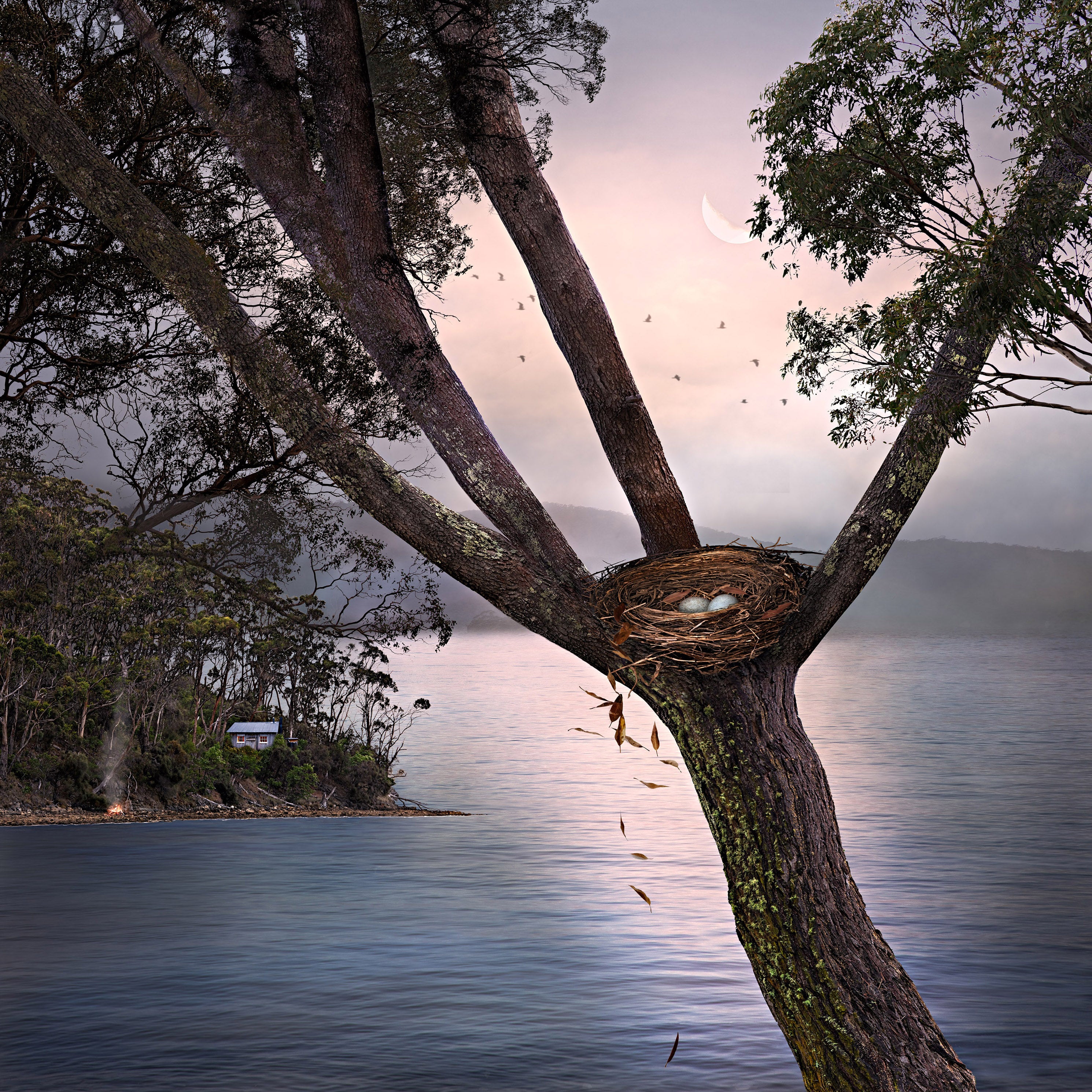 Twings and Leaves by Suellen Saidee Cook