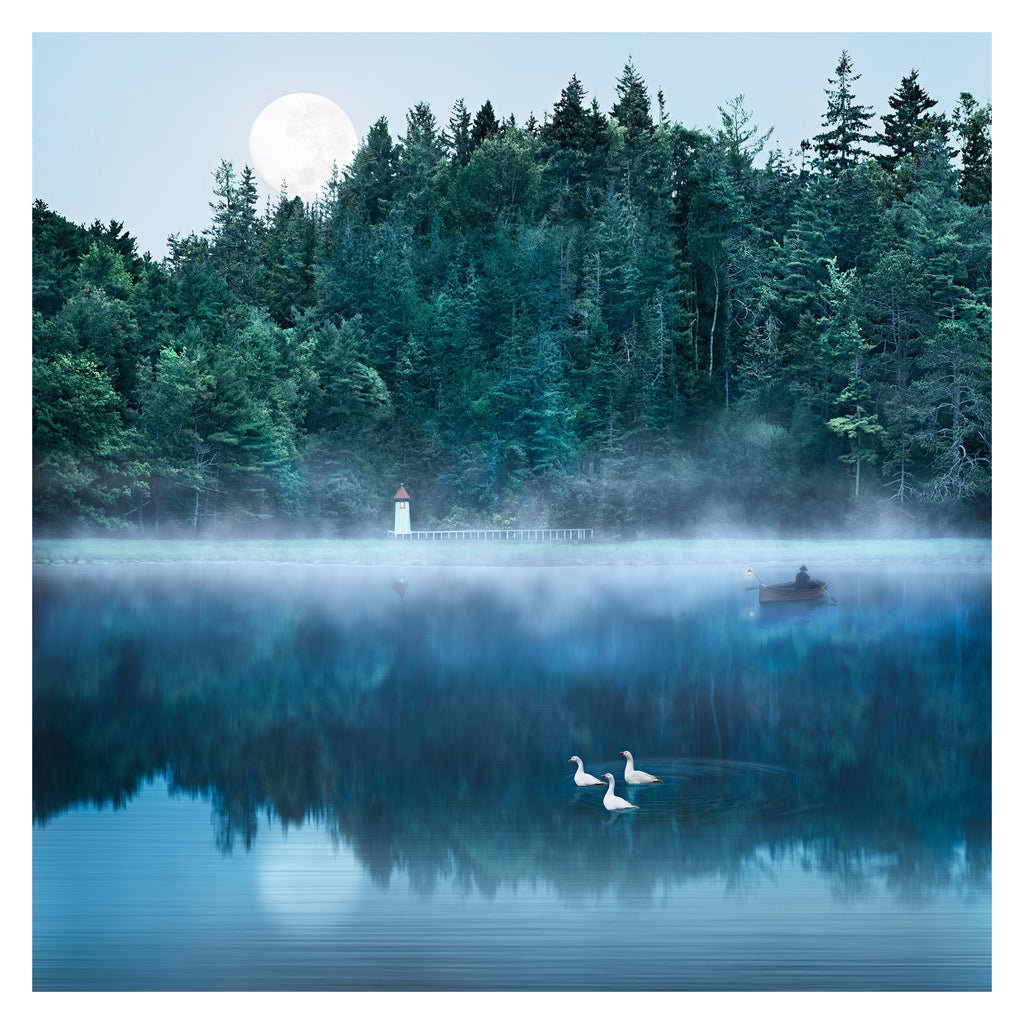 Luminaries by Suellen Saidee Cook
