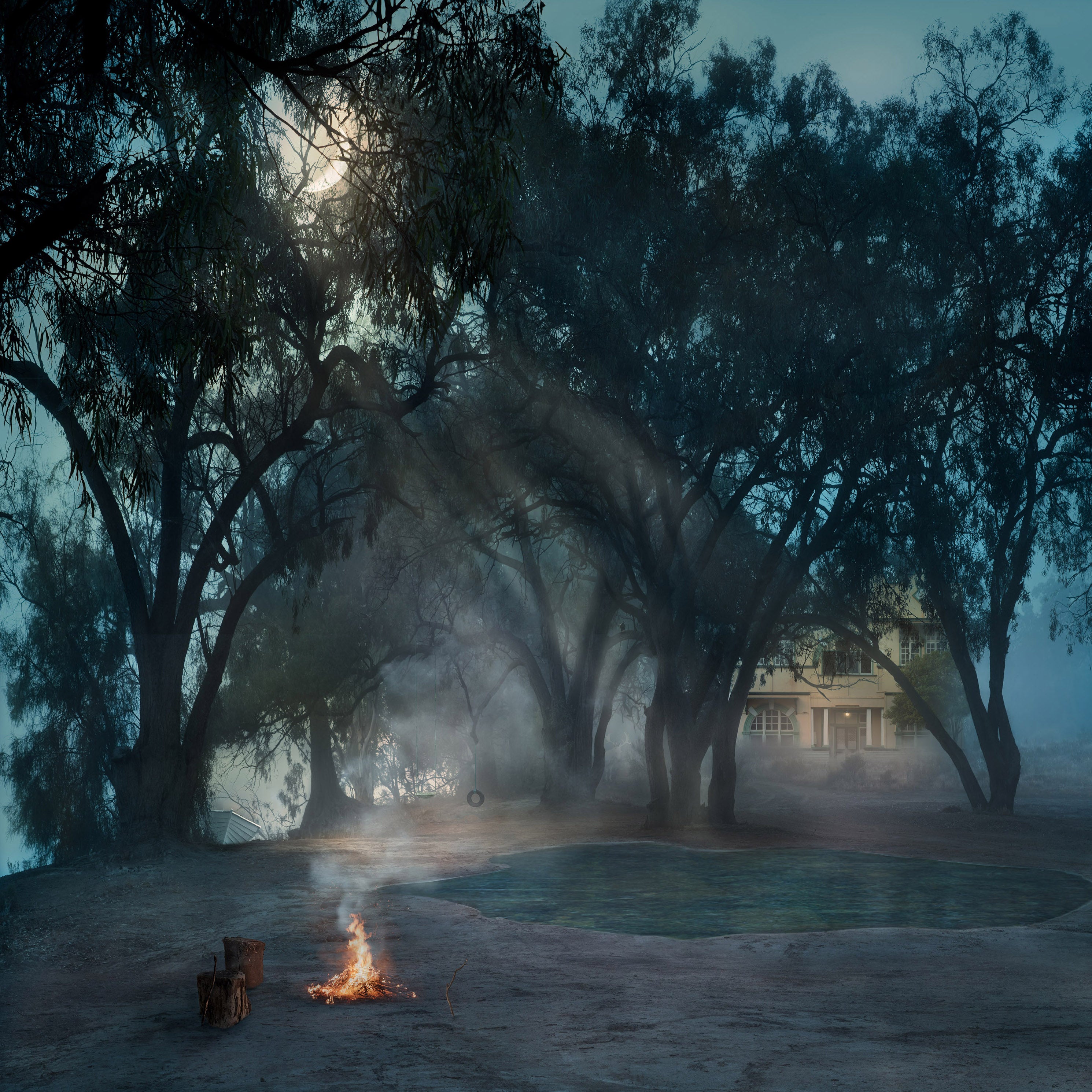 Where Magpies Sing by Suellen Saidee Cook