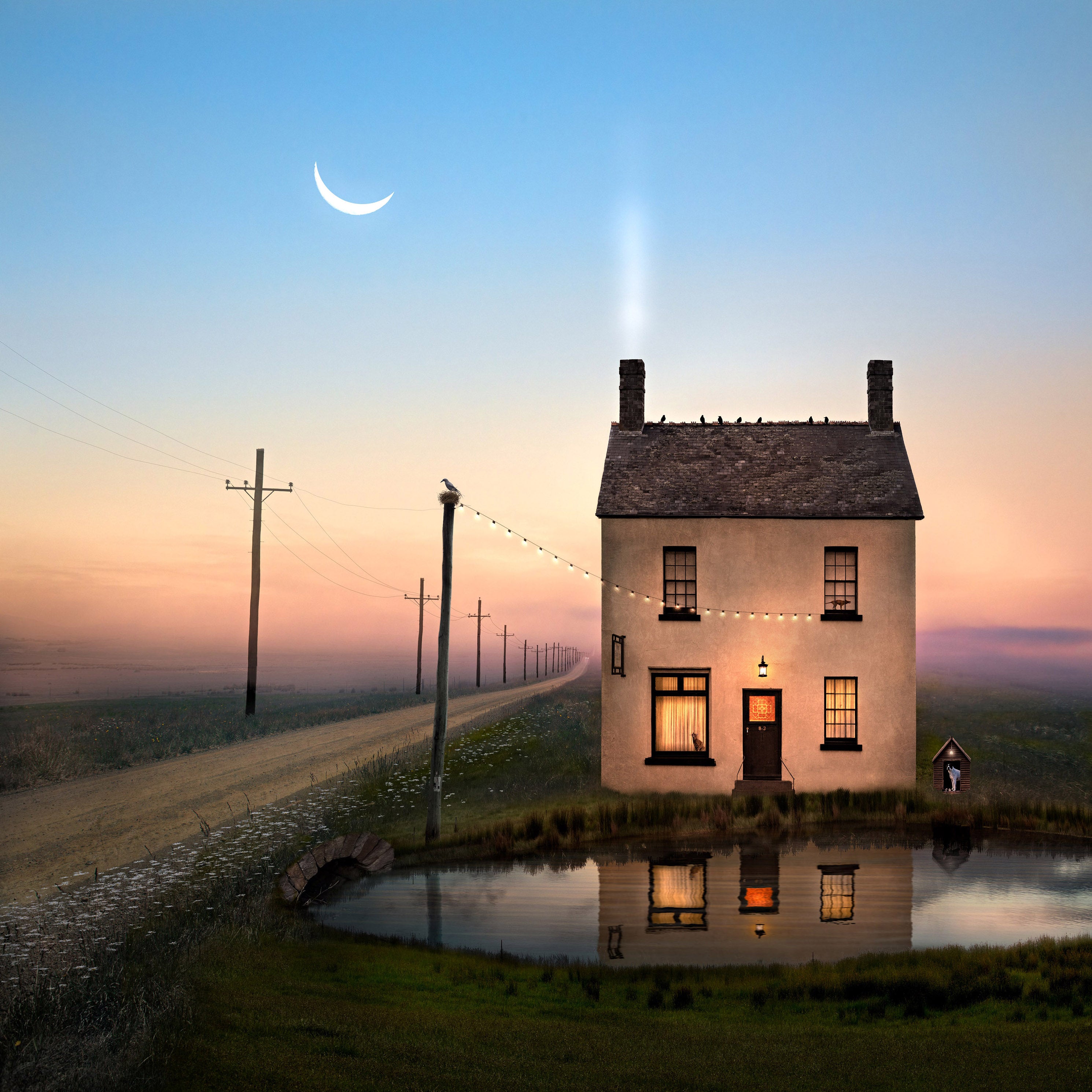 The Long Wait by Suellen Saidee Cook