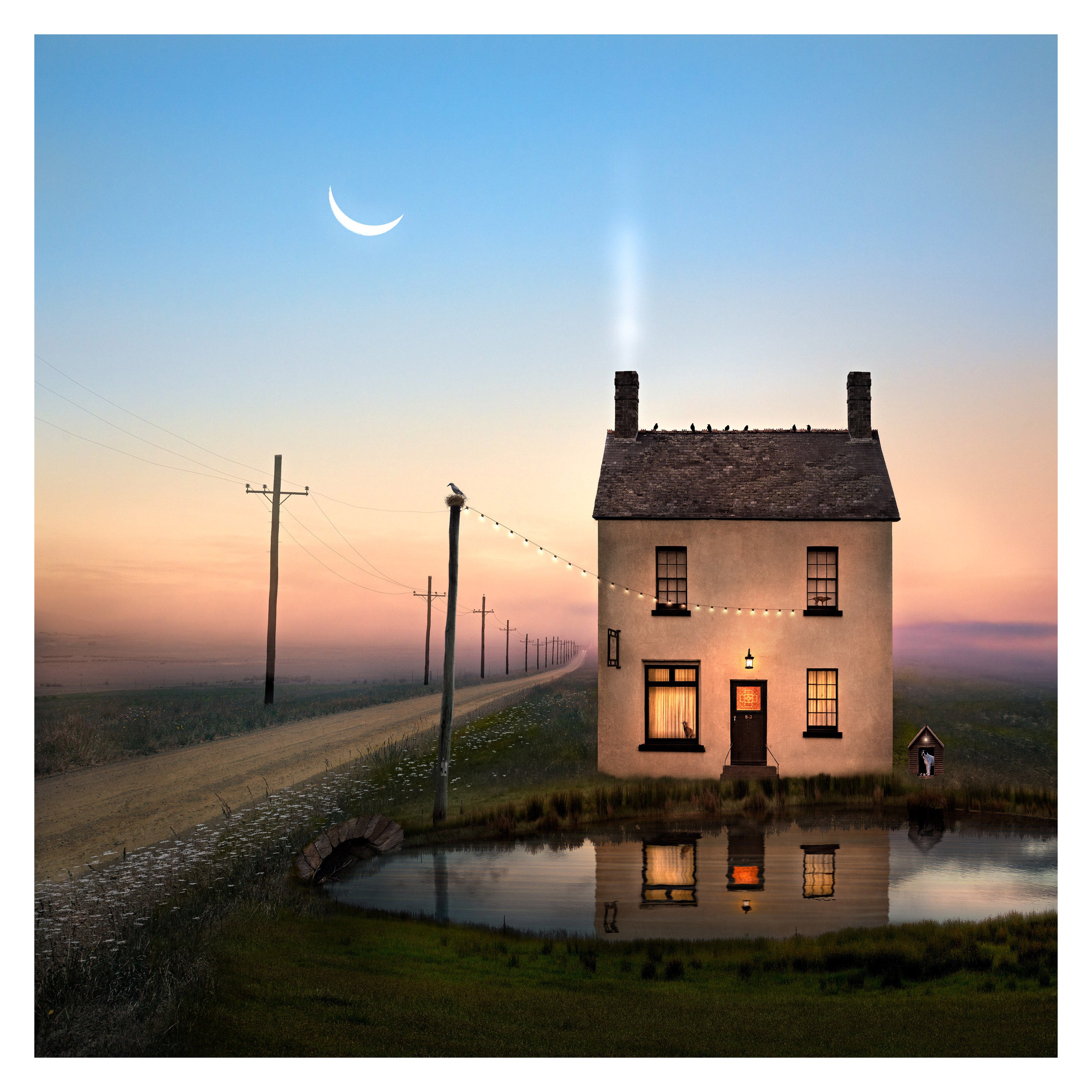 The Long Wait by Suellen Saidee Cook
