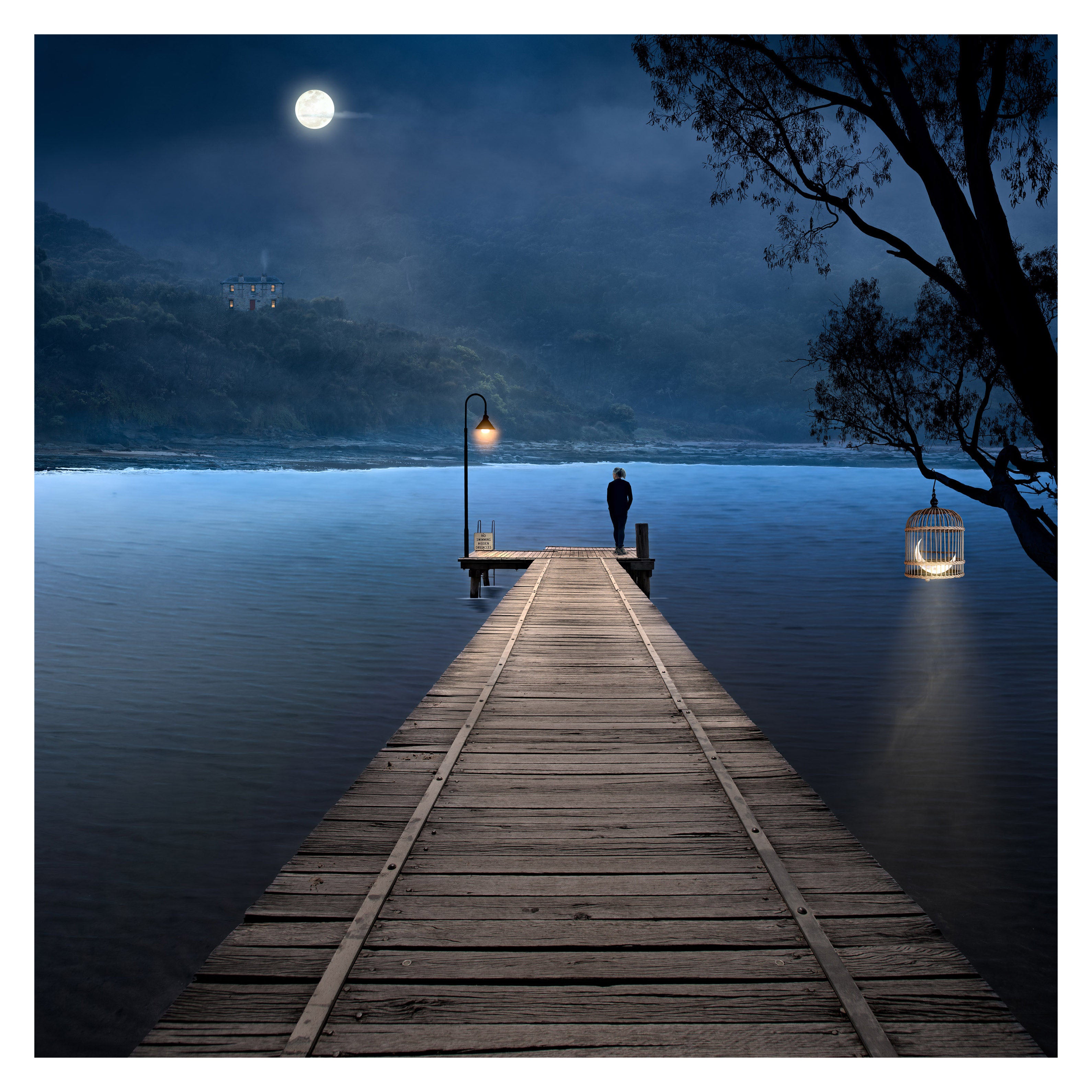 In the Unknown by Suellen Saidee Cook