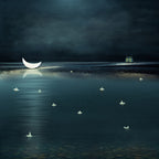 I Watched the Moon Fall int the Sea by Suellen Saidee Cook
