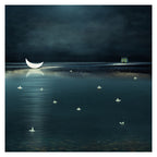 I Watched the Moon Fall int the Sea by Suellen Saidee Cook