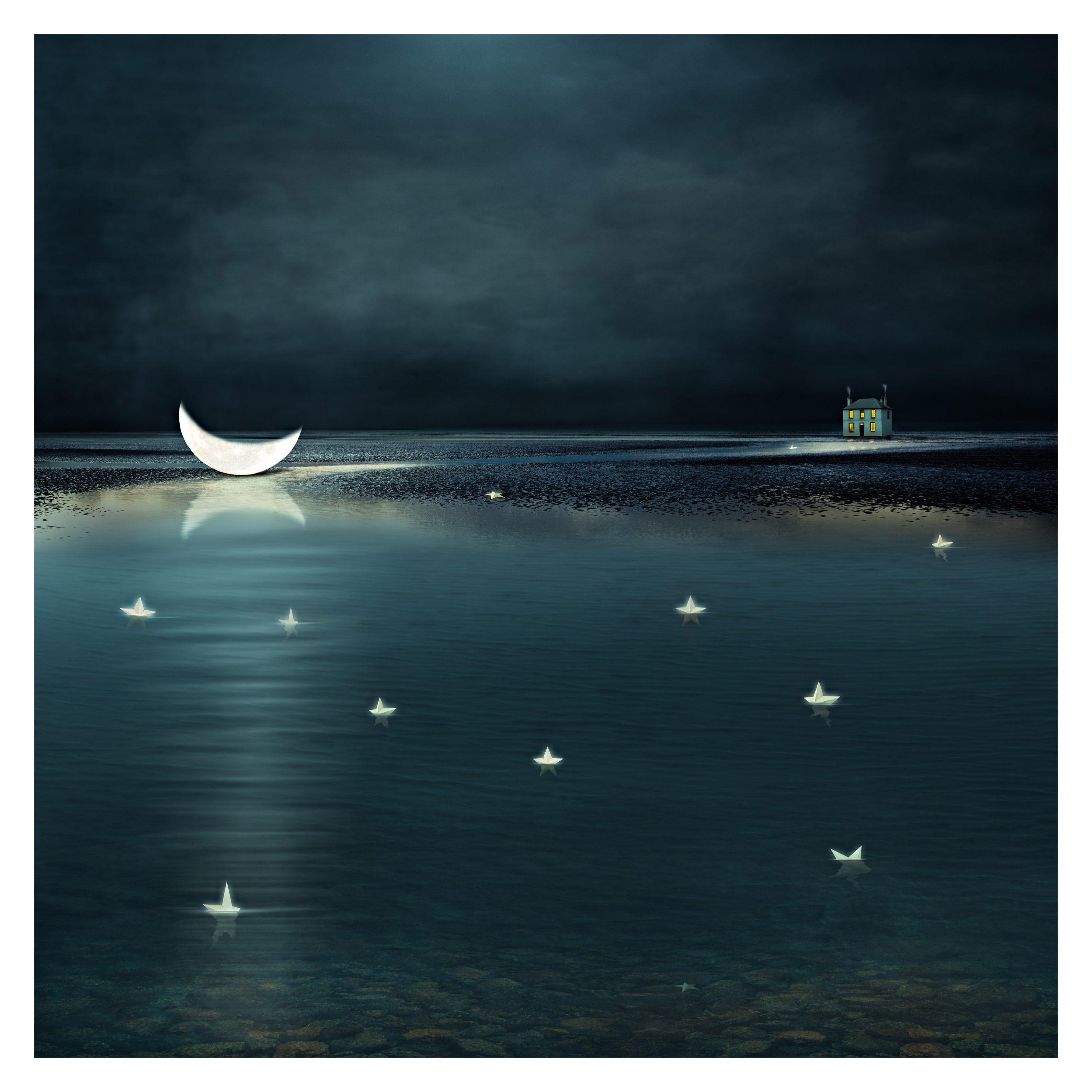 I Watched the Moon Fall int the Sea by Suellen Saidee Cook
