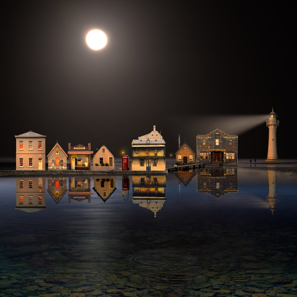 The Night of the Full Moon by Suellen Saidee Cook