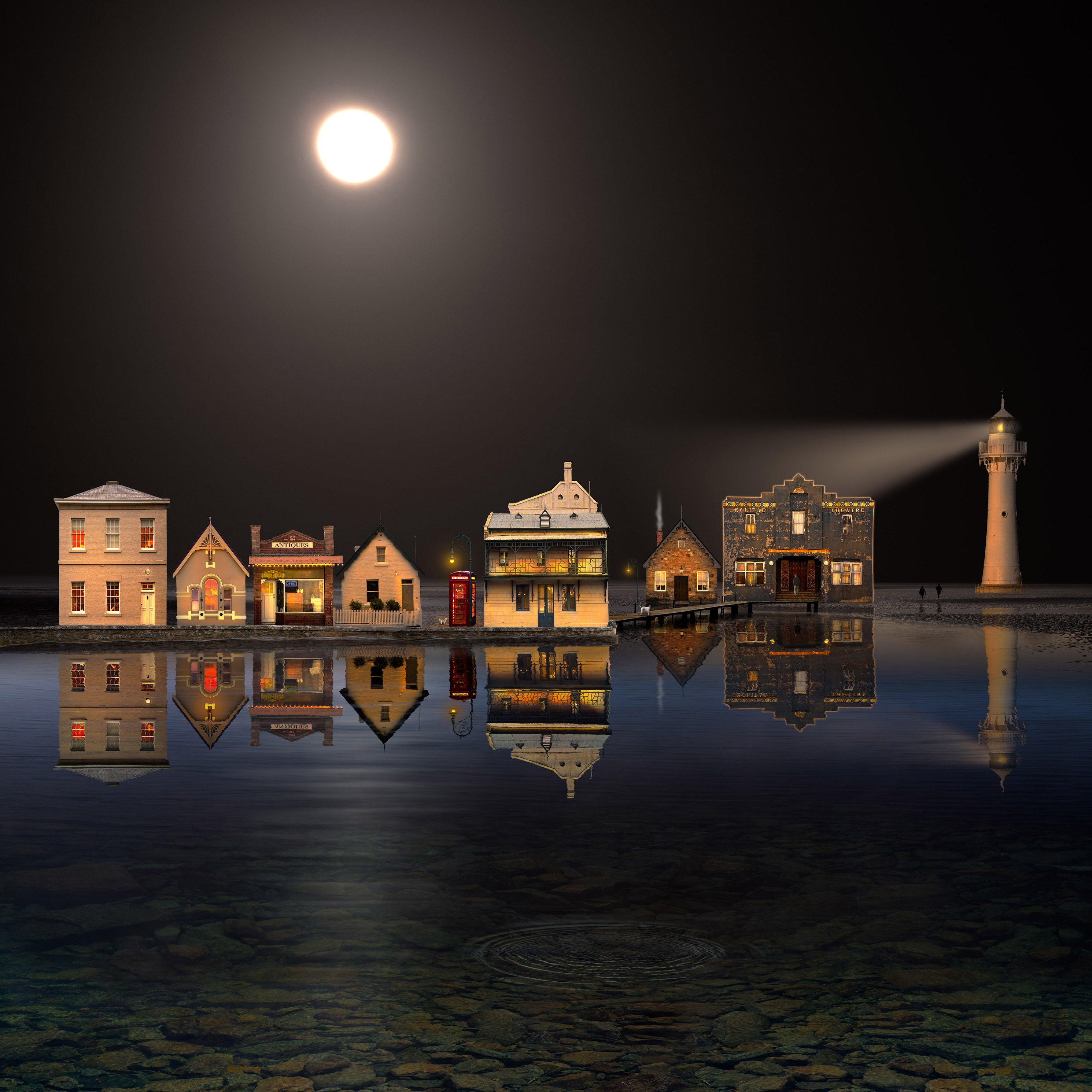 The Night of the Full Moon by Suellen Saidee Cook