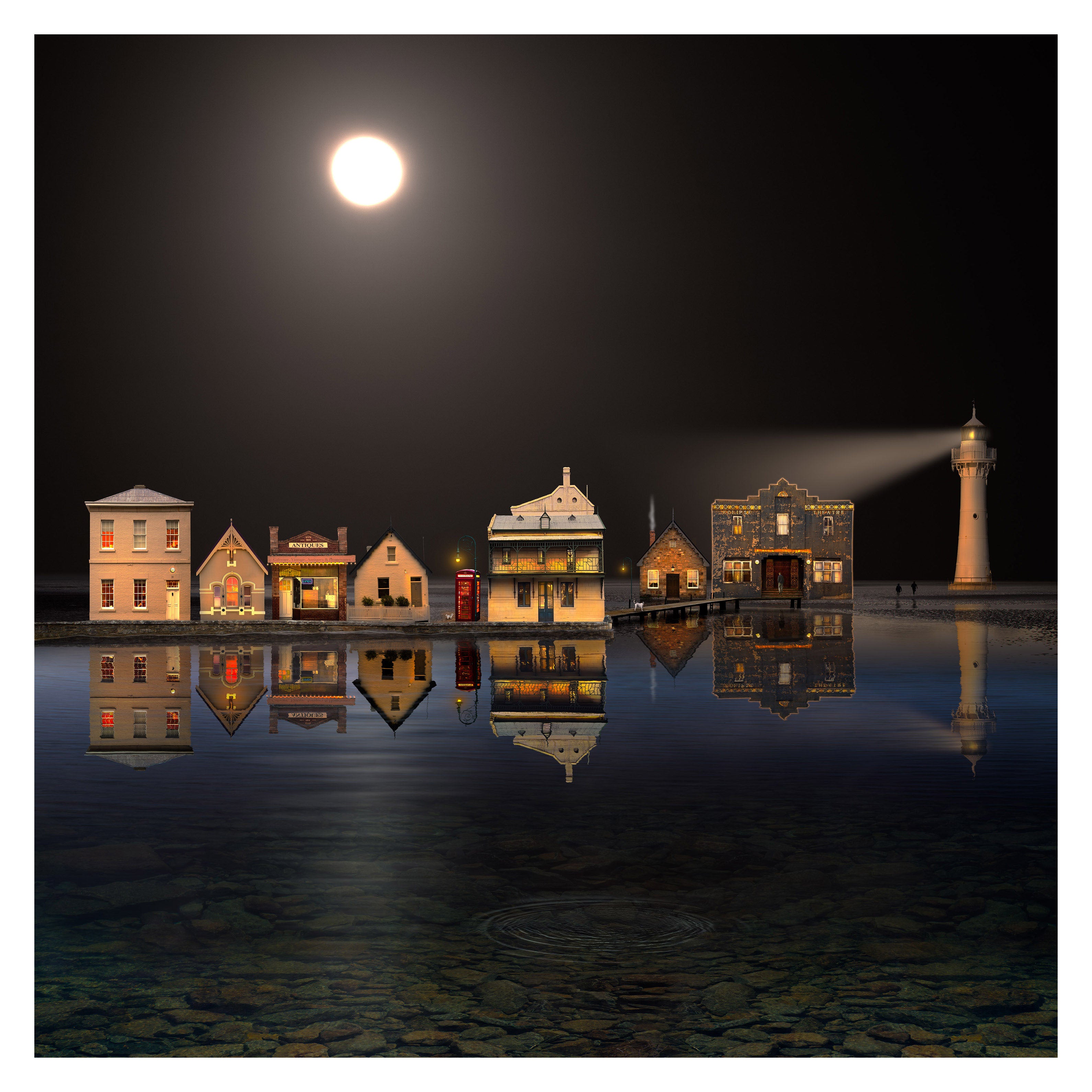 The Night of the Full Moon by Suellen Saidee Cook