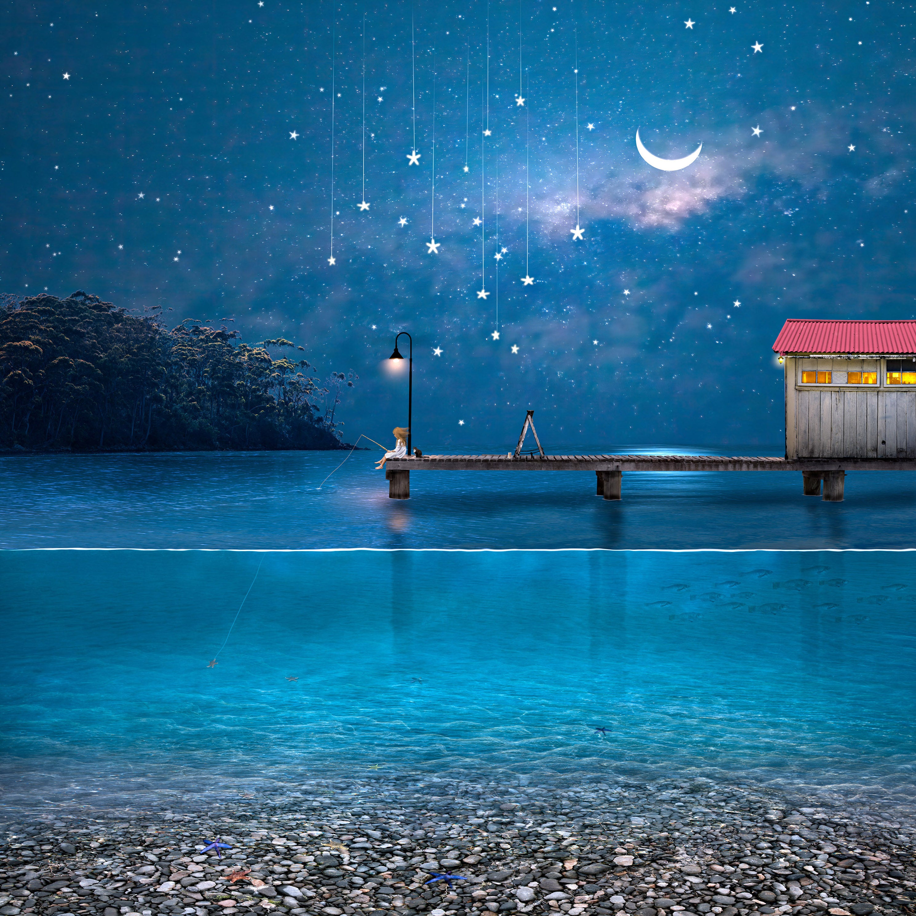 Starfishing by Suellen Saidee Cook