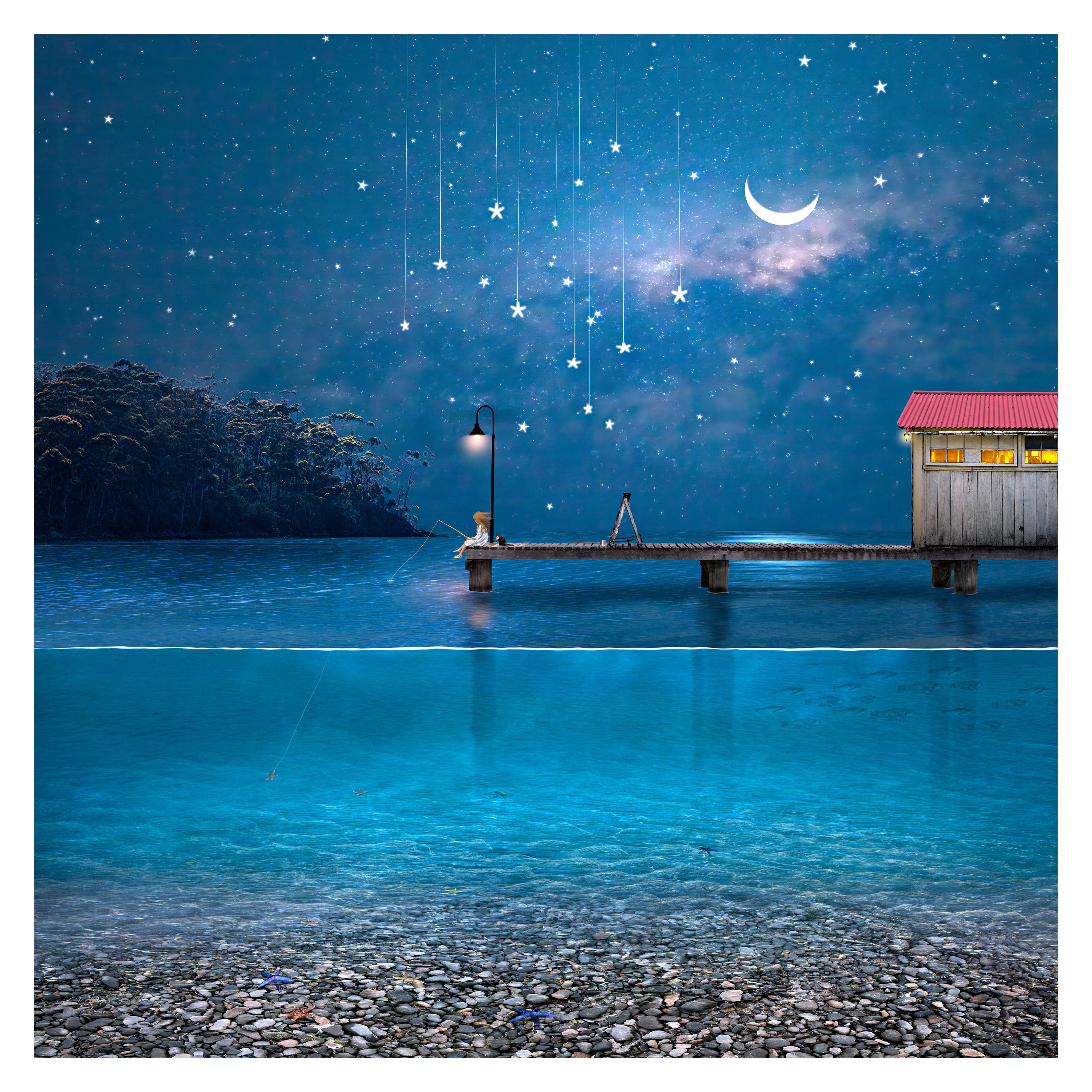 Starfishing by Suellen Saidee Cook