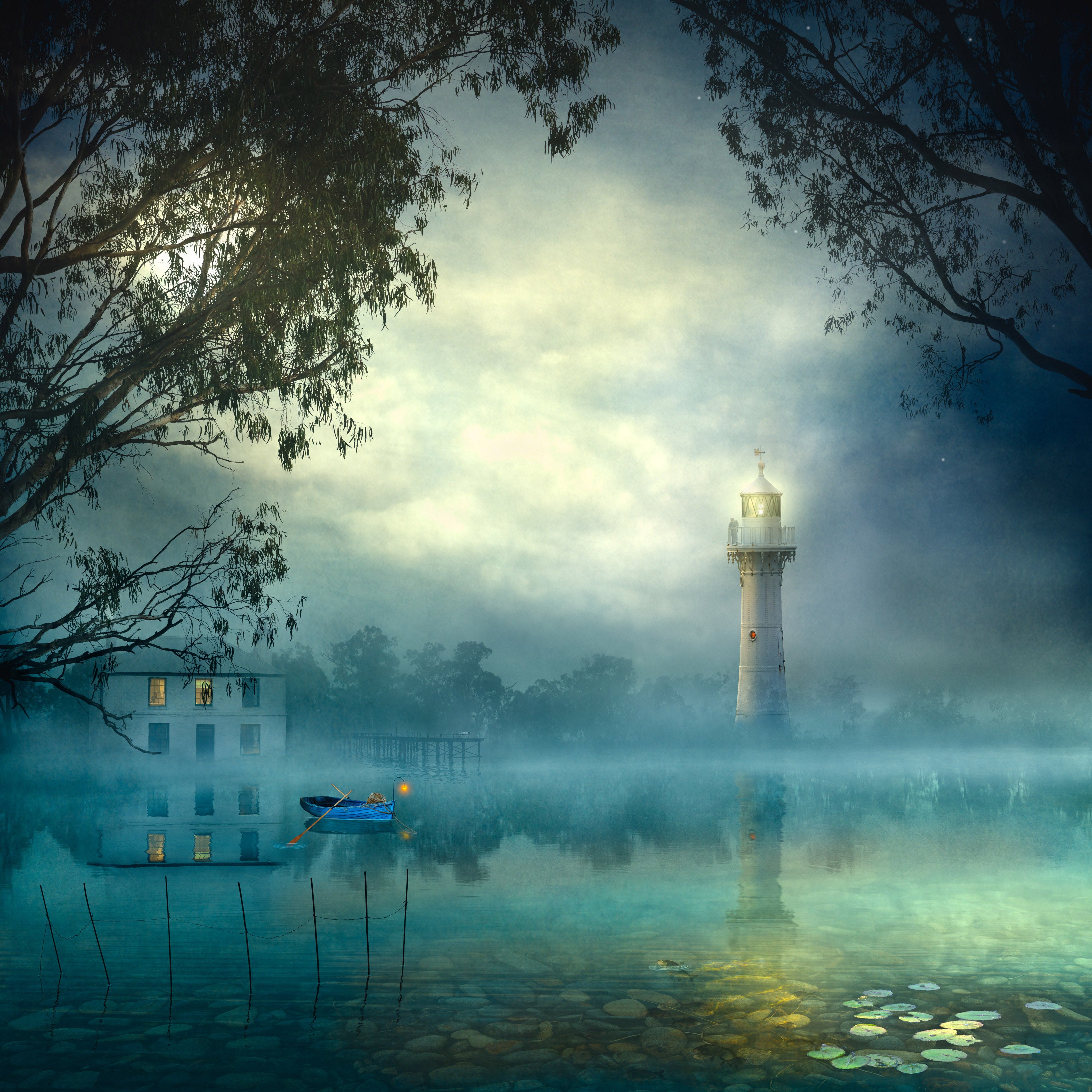 Nightfall by Suellen Saidee Cook