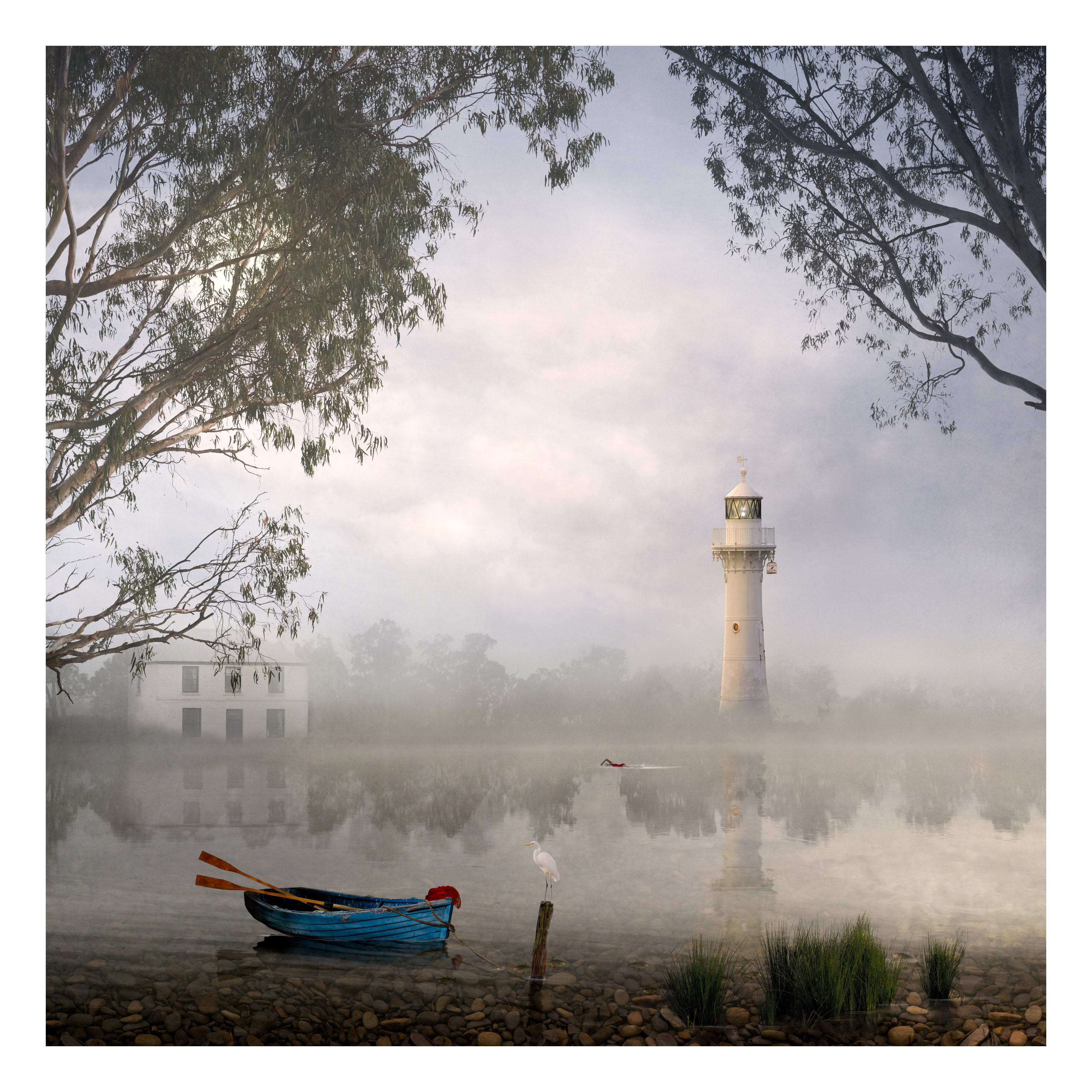 Morning Mist by Suellen Saidee Cook