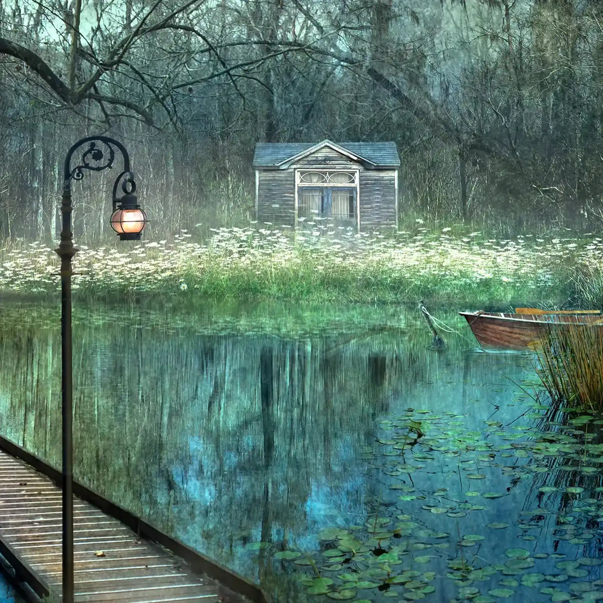 Daisy fields by Suellen Saidee Cook