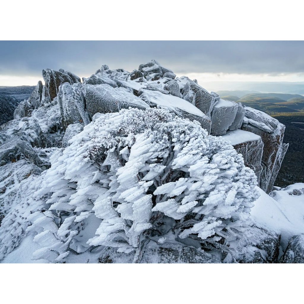 Ben Lomond winter rime, Tasmania by Grant Dixon