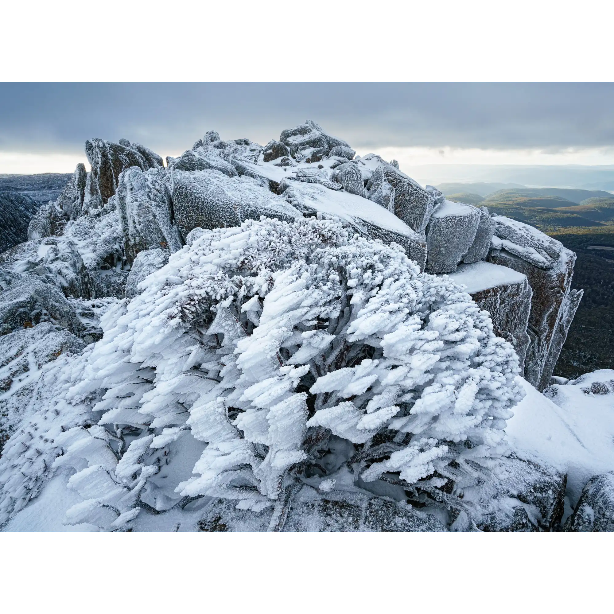 Ben Lomond winter rime, Tasmania by Grant Dixon
