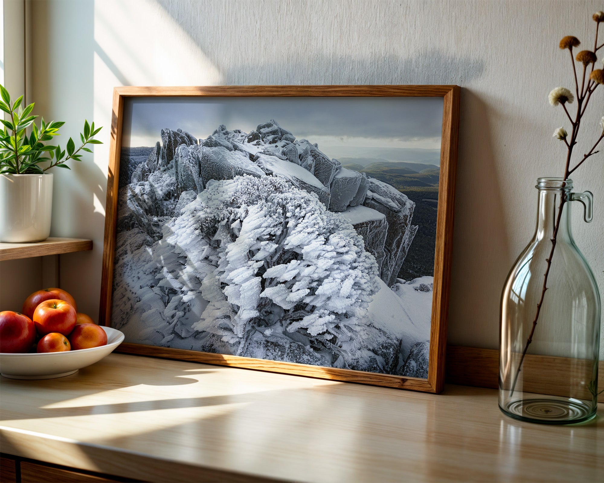 Ben Lomond winter rime, Tasmania by Grant Dixon