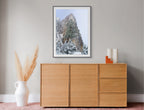 Sharlands snow-dusted pencil pine, Tasmania by Grant Dixon
