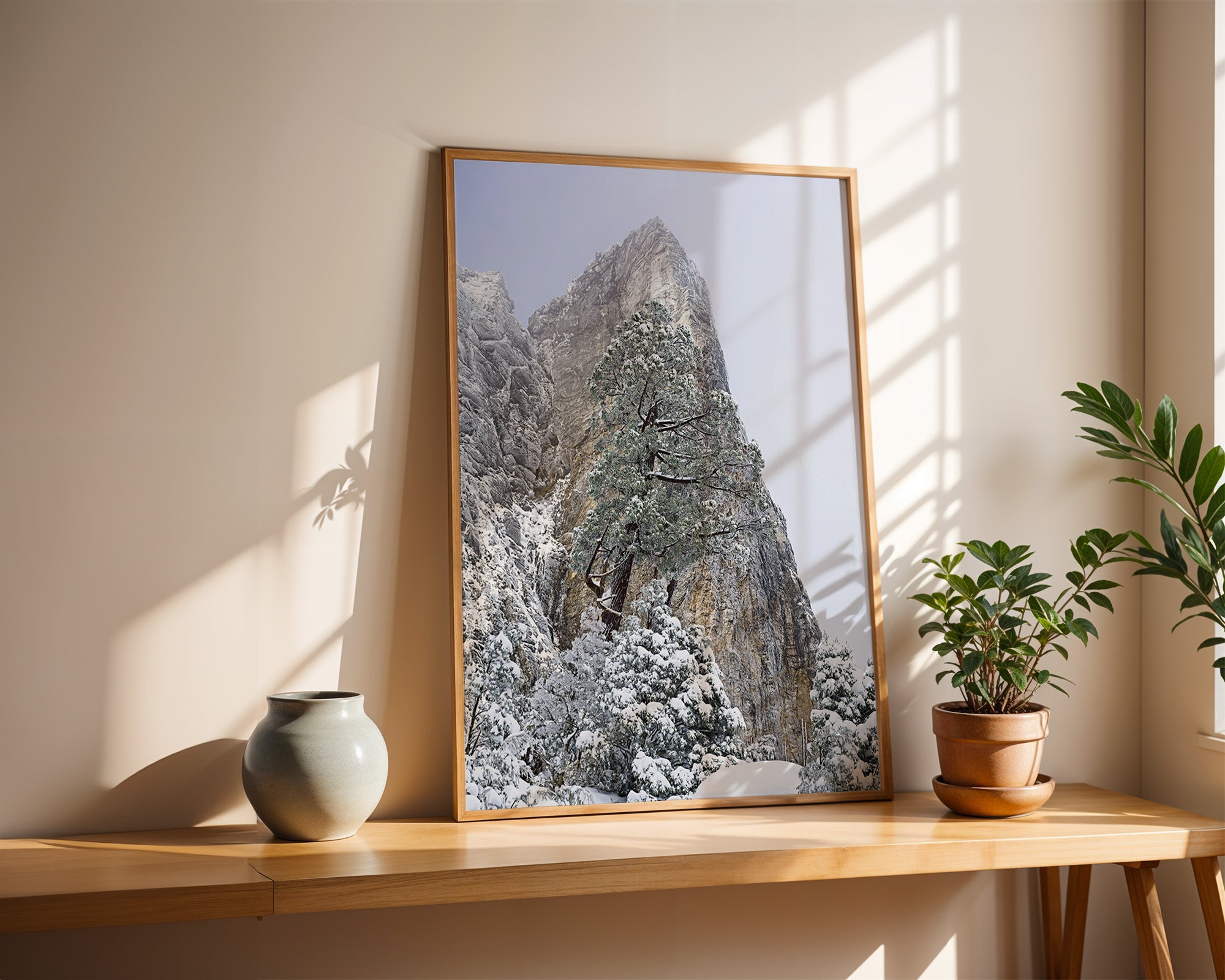 Sharlands snow-dusted pencil pine, Tasmania by Grant Dixon