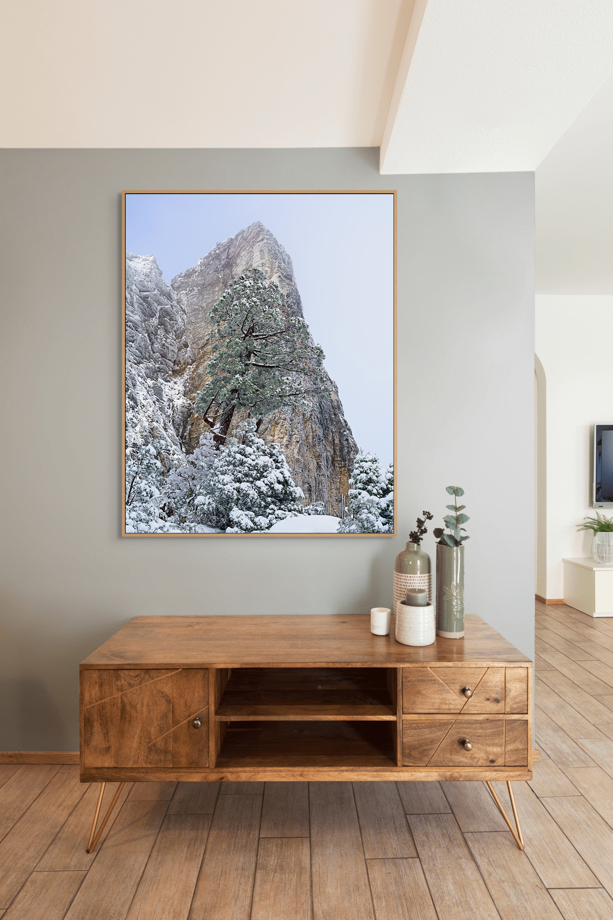 Sharlands snow-dusted pencil pine, Tasmania by Grant Dixon