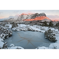 Cradle Mountain snowy dawn, Tasmania by Grant Dixon
