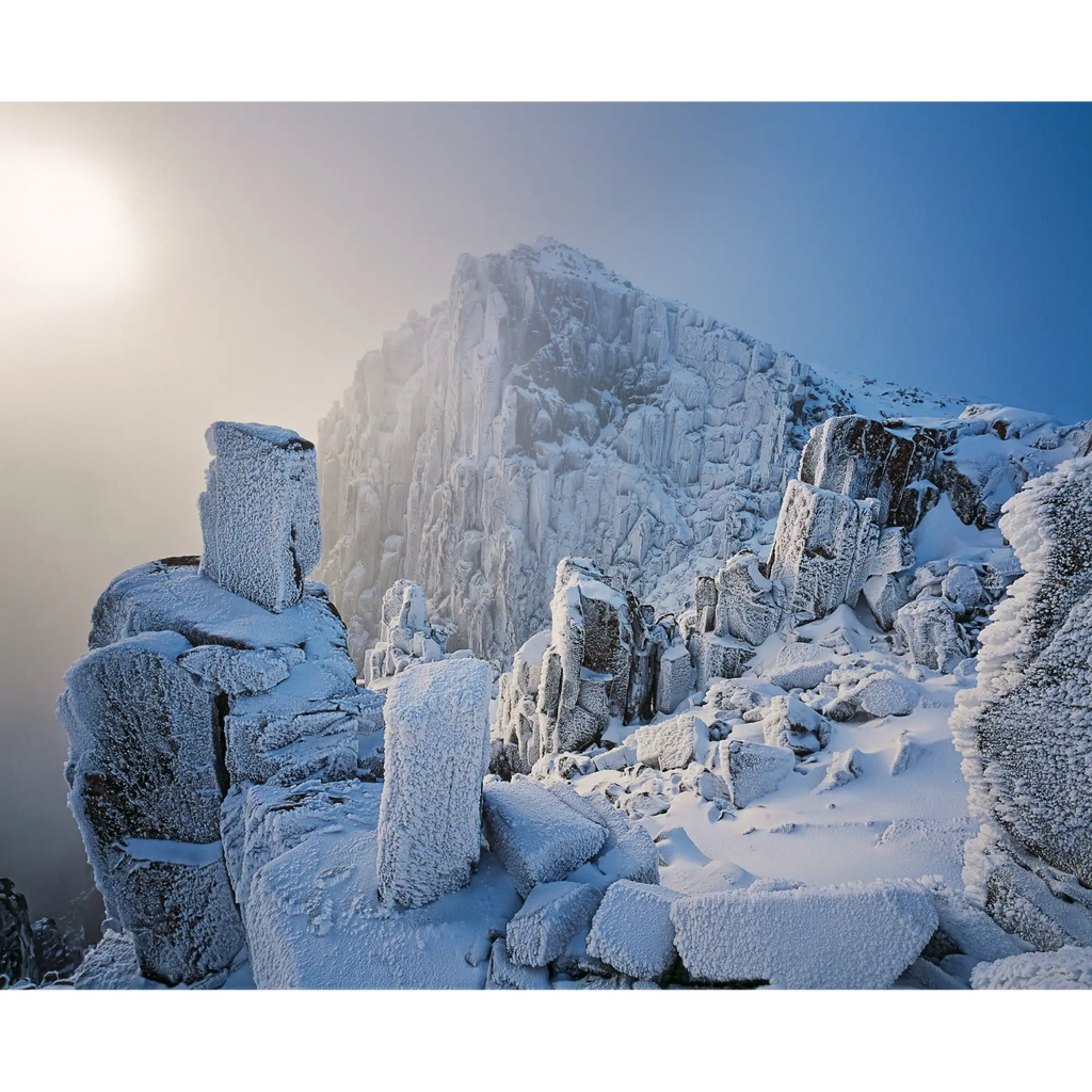 Field West Rime #1, Tasmania by Grant Dixon